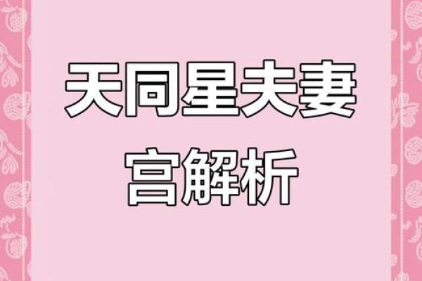 太阳在夫妻宫，紫微斗数太阳星入夫妻宫