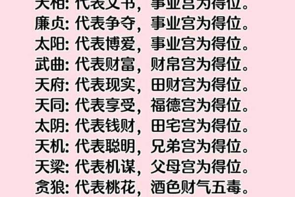 紫薇斗数代表什么