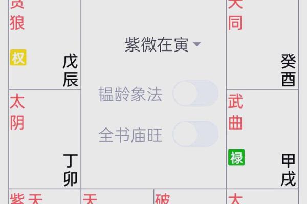 紫薇斗数文曲旺