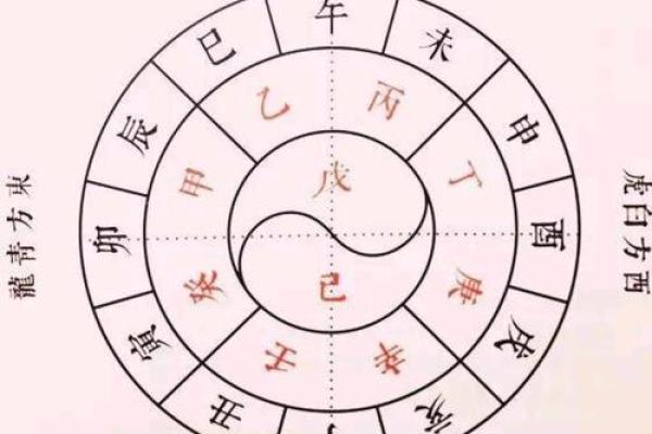 八字天干地支