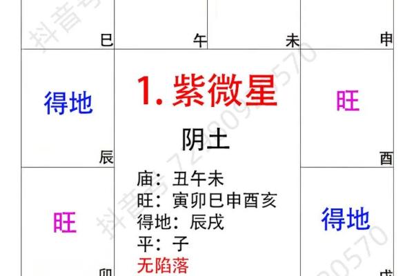 紫微斗数看谁容易跟人一见钟情？哪些主星男生最值得你付出真心？