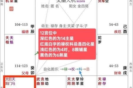 紫薇斗数盘是什么