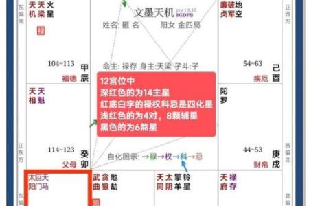 紫薇斗数怎么看晚运