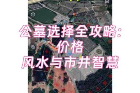 腰带与风水：攻略指南