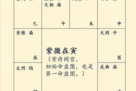紫薇斗数星宿有哪些