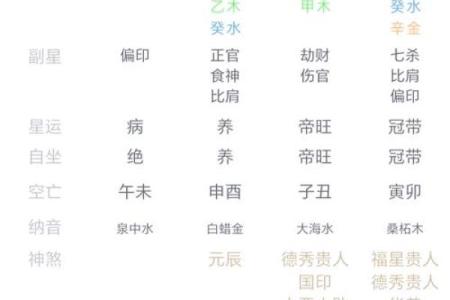 八字命宫辛亥是什么意思