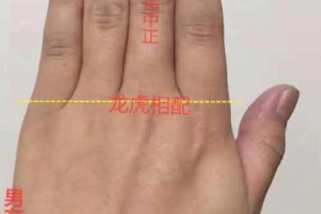 断掌男的手相算命图解 断掌的男人坚强有韧性