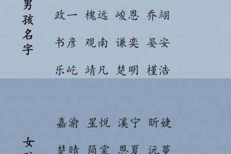 2019年4月23号子时出生的男孩如何起名姓名