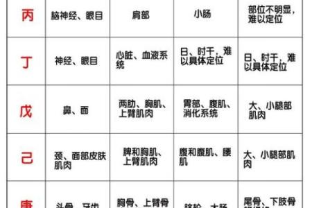 查五行八字缺什么,周易免费查五行缺什么