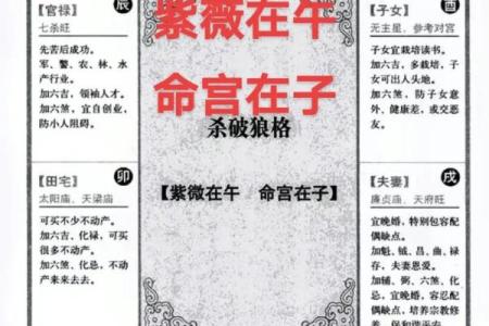 紫薇斗数代表什么