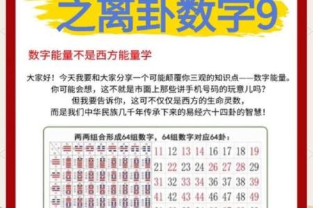 号码测吉凶周易91算命