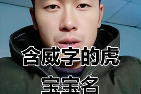 11月份出生的属虎男孩要怎样取名字姓名