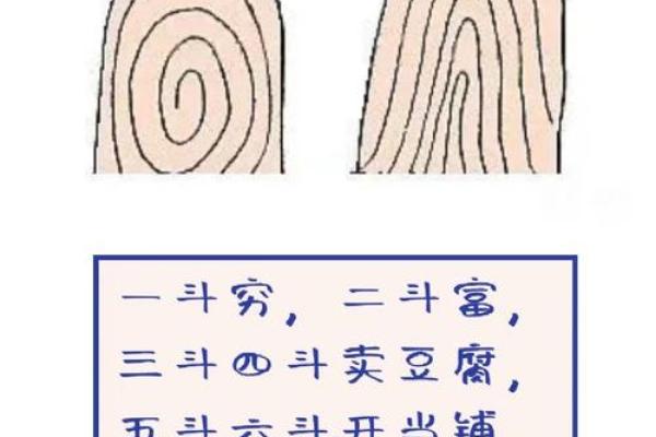 手指斗算命 手上有几个斗适合当老板