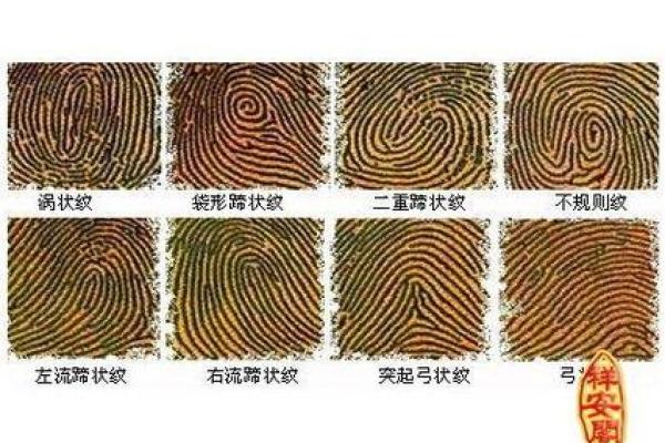 手指斗算命 手上有几个斗适合当老板