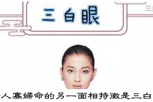 风水解读狐狸眼睛的女人面相怎么样