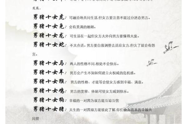 2019年出生属猪的男宝宝取名宜用字姓名