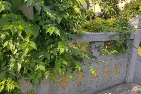 女人上坟有什么讲究和忌讳风水