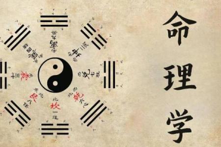 哪种命相八字的人适合学算命