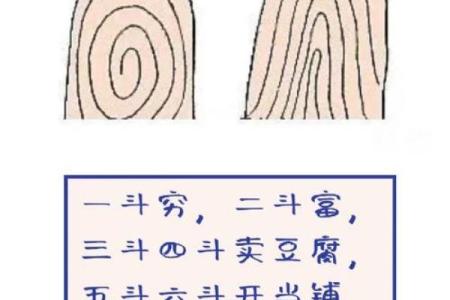 手指斗算命 手上有几个斗适合当老板