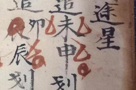 林森八字