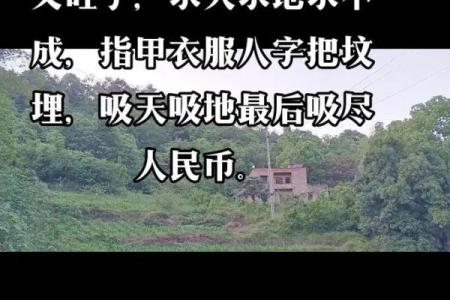 中国生基风水丰盛人生的追求
