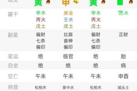 九重居周易八字排盘 九重啥意思是什么