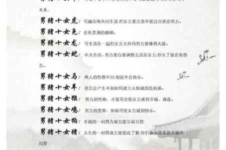 2019年出生属猪的男宝宝取名宜用字姓名