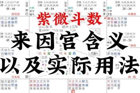 紫薇斗数命宫大耗