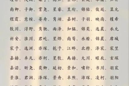 2019年3月28号辰时出生的男孩如何起名姓名