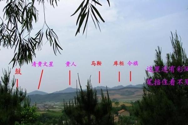 教你学会怎样看风水墓地宝地