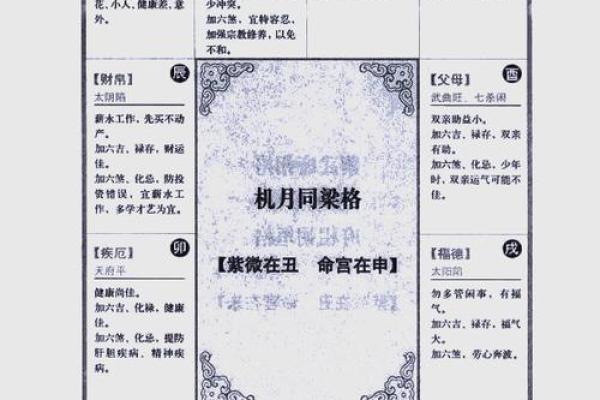 免费紫薇星盘在线排盘