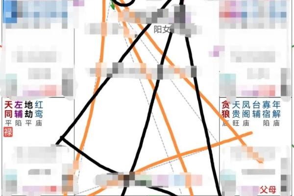 揭秘 紫微斗数VS八字：命理学中隐藏的惊人差异？