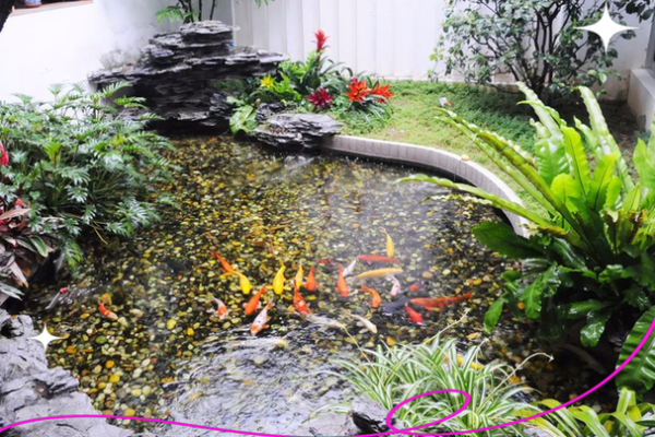 房子脚下建鱼池风水
