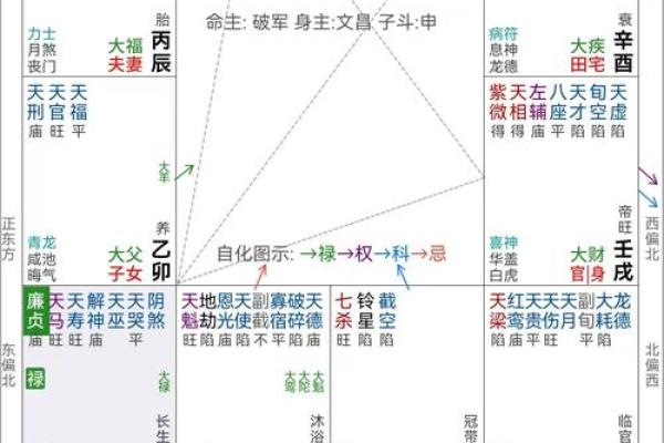 紫薇斗数看品行
