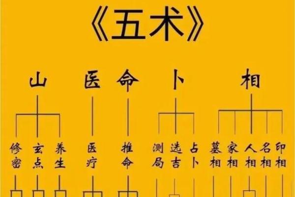 紫薇斗数  -_是什么意思
