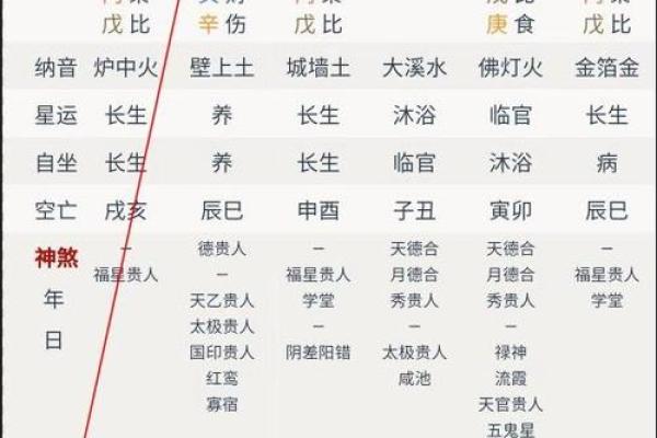 八字排盘旺衰表什么