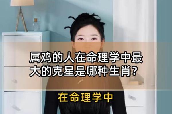 今年运势算命属鸡男
