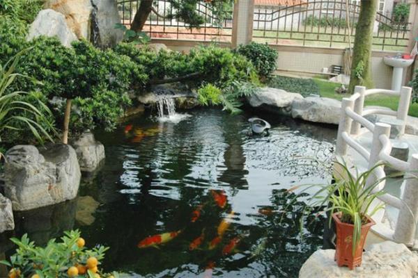 房子东面建鱼池风水好吗