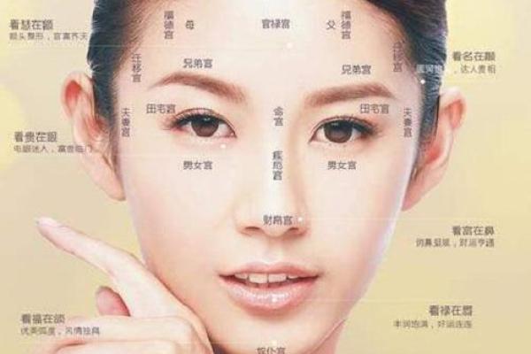 面相算命鼻子