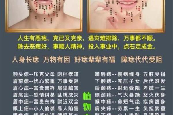 面相算命鼻子
