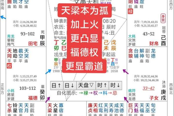 紫薇斗数流陀