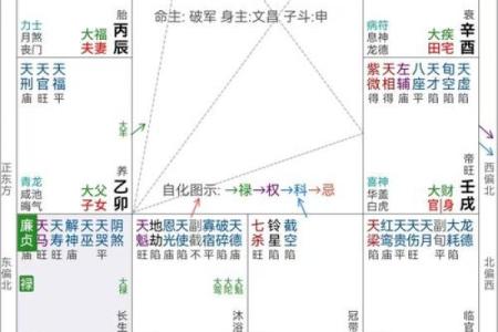 紫薇斗数看品行