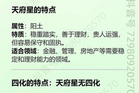 紫微斗数天府在疾厄宫