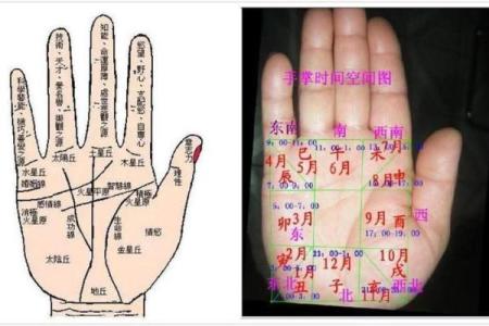 看手相算命图解：手