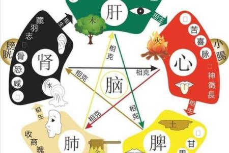 八字疾病综合论断