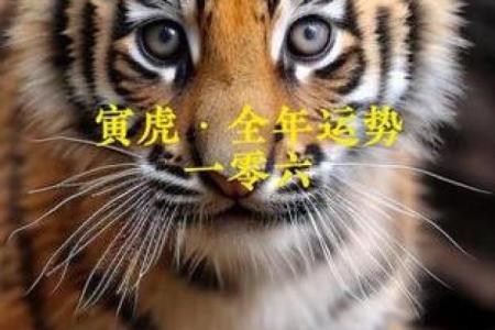 卫斯理揭秘风水秘密为你点亮成功财运之路
