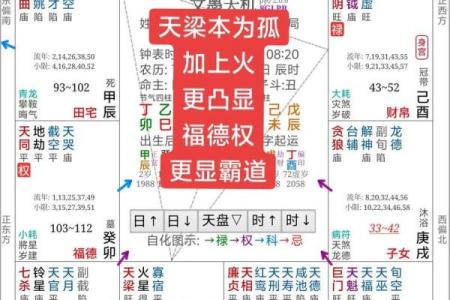 紫薇斗数流陀