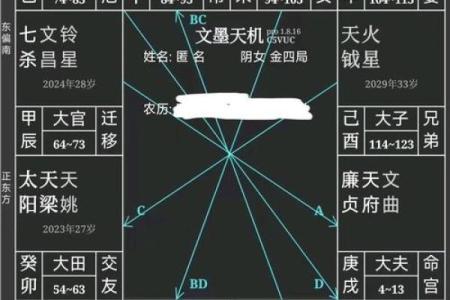 紫薇斗数看什么样的男女会结婚