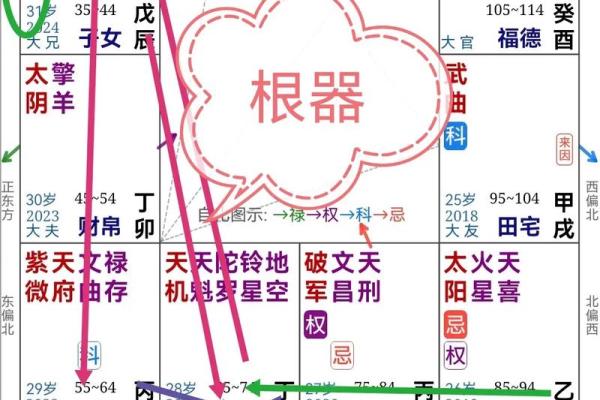 紫薇斗数高人解盘