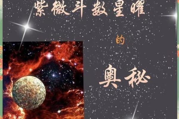 从事艺术紫薇斗数